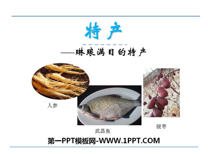 《特產》PPT