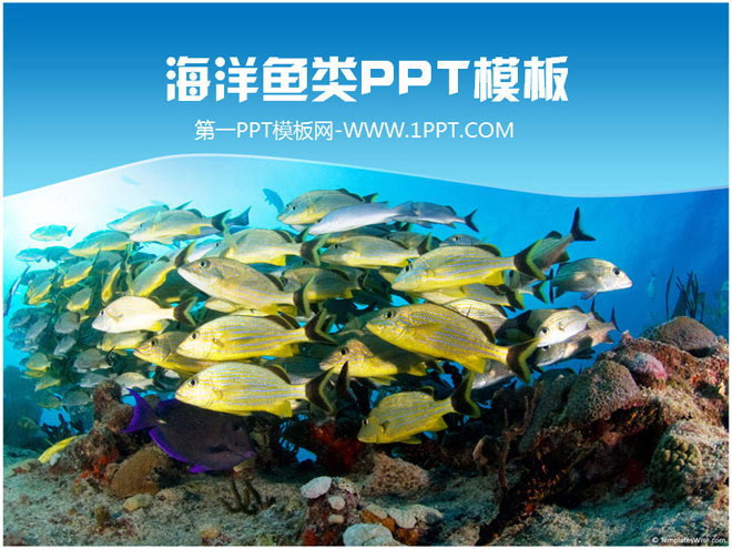 Beautiful underwater world fish fish PPT template