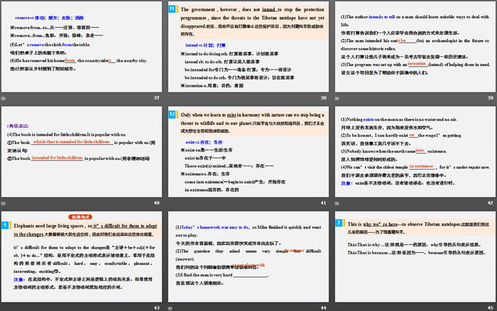 《Wildlife Protection》Period Two PPT（6）