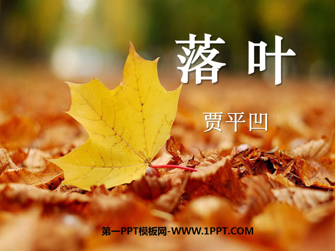 "Falling Leaves" PPT courseware 2