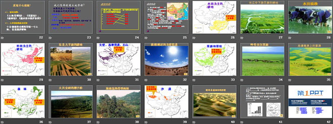 《土地资源》中国的自然资源PPT课件5（3）