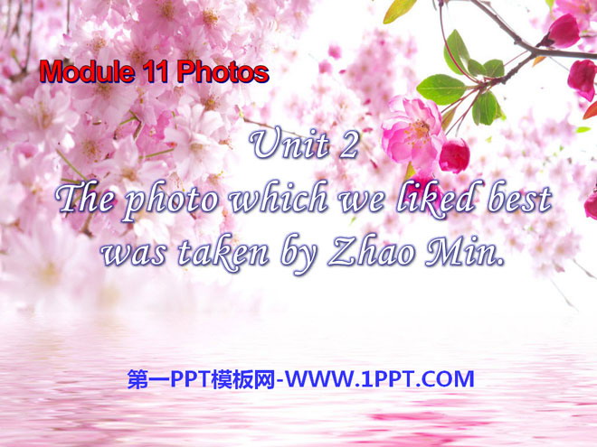 "The photo which we liked best was taken by Zhao Min" Photos PPT courseware 3