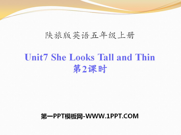 "She Looks Tall and Thin" PPT courseware
