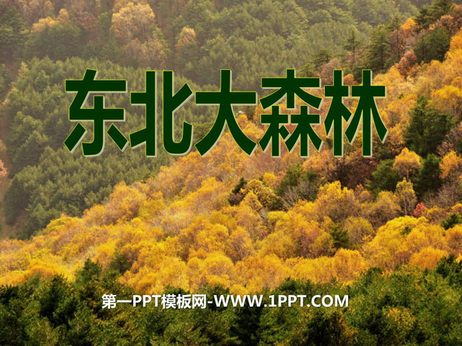 "Northeast Forest" PPT courseware 3