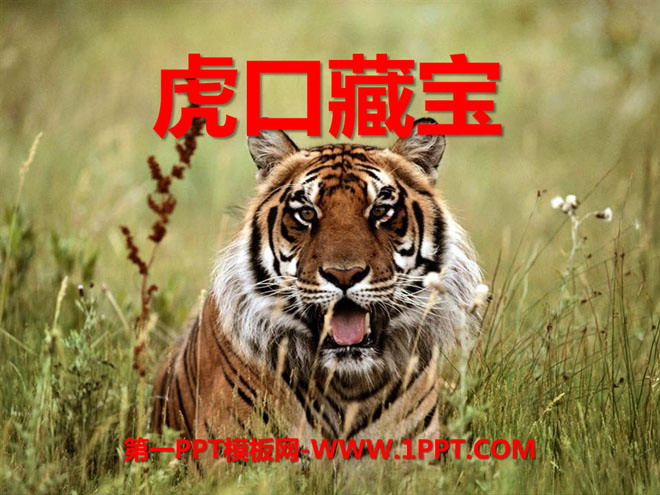 "Treasure Hidden in the Tiger's Mouth" PPT Courseware 3