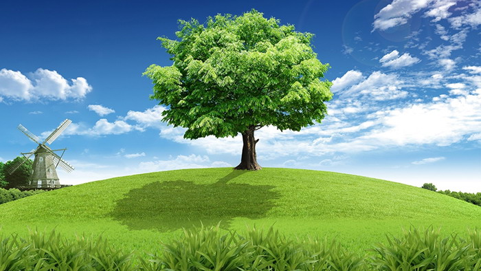 Blue sky, white clouds, grass, windmills and green trees PPT background picture