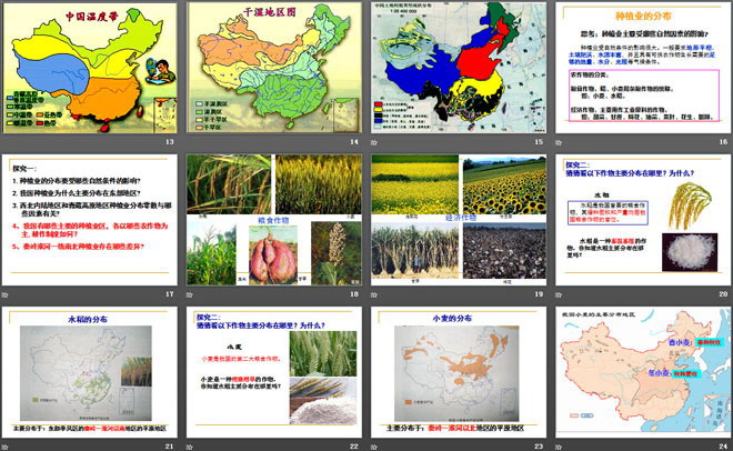 《农业的分布》PPT（3）
