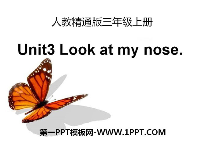《Look at my nose》PPT课件4