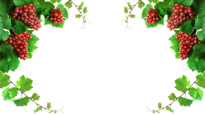 Three exquisite grape PPT background pictures