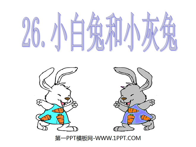 "Little White Rabbit and Little Gray Rabbit" PPT Courseware 4