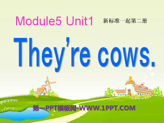 "They're cows" PPT courseware