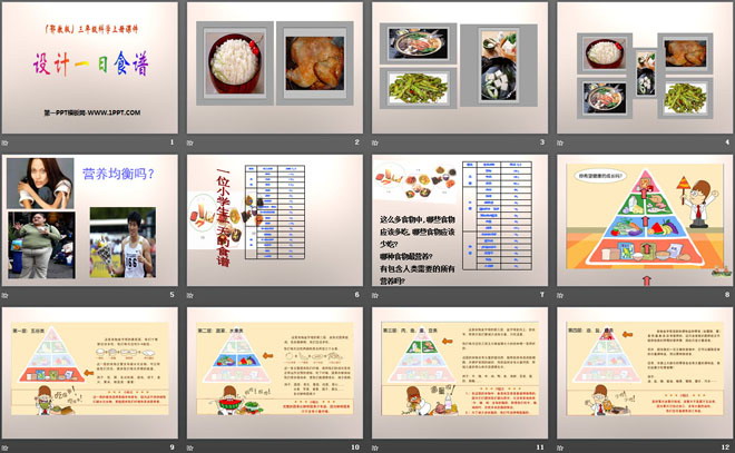 《设计一日食谱》生活中的食物PPT课件（2）