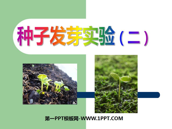 《種子發芽實驗(二)》生物與環境PPT課件3