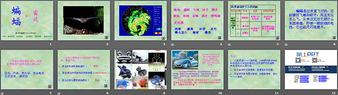 《蝙蝠和雷达》PPT课件2
（2）