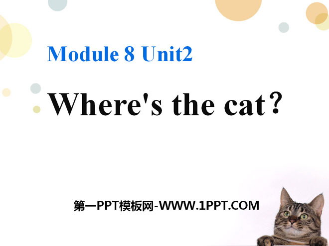 "Where's the cat?" PPT courseware