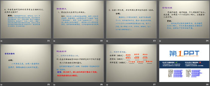 《石榴》PPT（4）