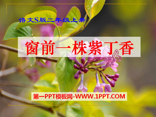 "A Lilac in front of the Window" PPT courseware