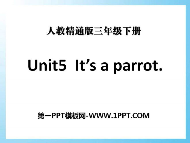 "It's a parrot" PPT courseware 2