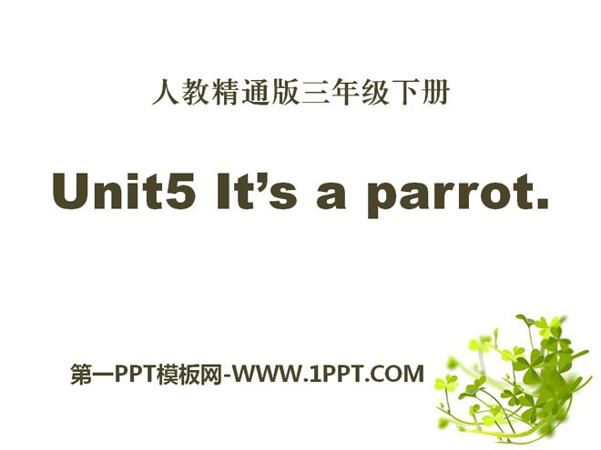 "It's a parrot" PPT courseware