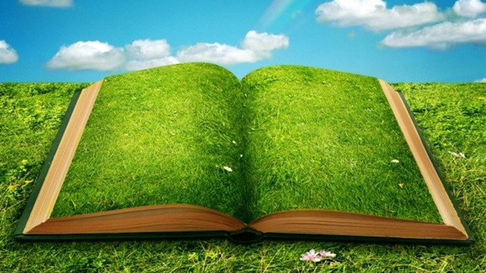 Books covered by green plants PPT background picture