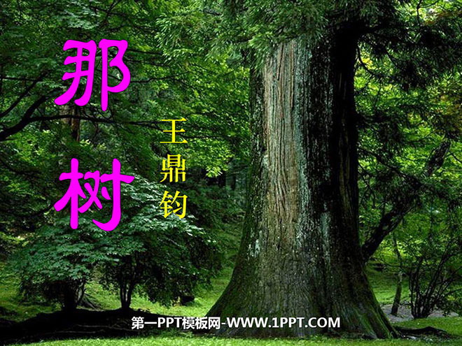 "That Tree" PPT Courseware 4