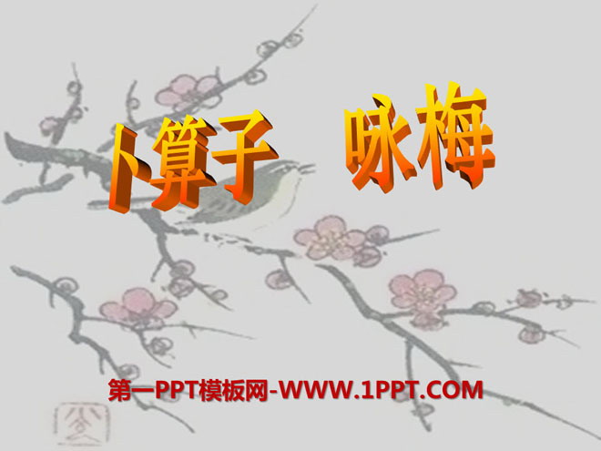 "Bu Suanzi·Yong Mei" PPT courseware 5