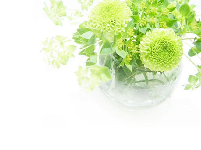 Green vase plant PPT background image
