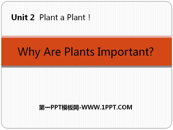 《Why Are Plants Important?》Plant a Plant PPT免费课件