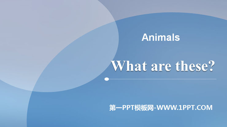 《What are these?》Animals PPT