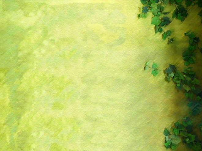 綠色的爬山虎PPT背景圖片