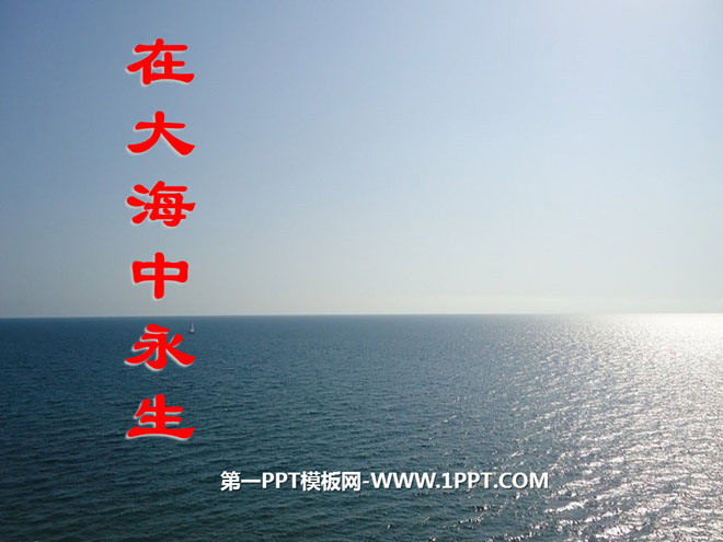 《在大海中永生》PPT课件4
(1)