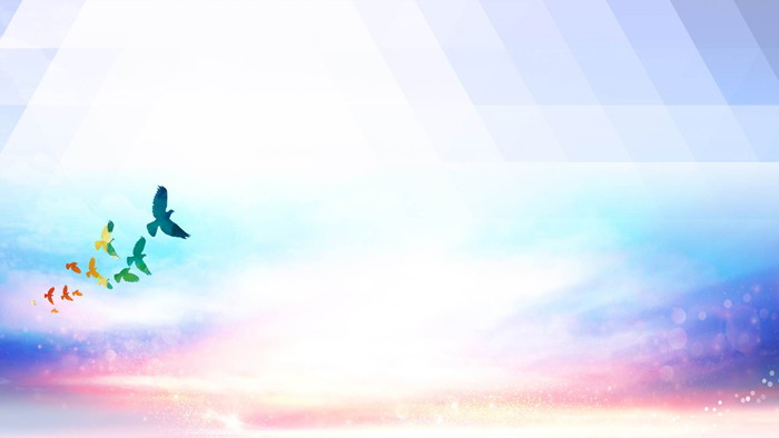 Dream pigeon PPT background image