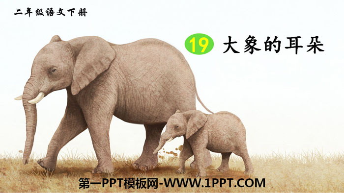 "Elephant's Ears" PPT free courseware