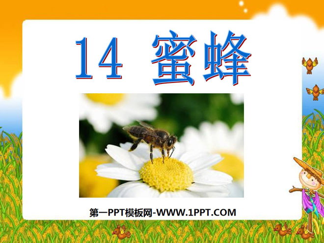 "Bee" PPT courseware 4