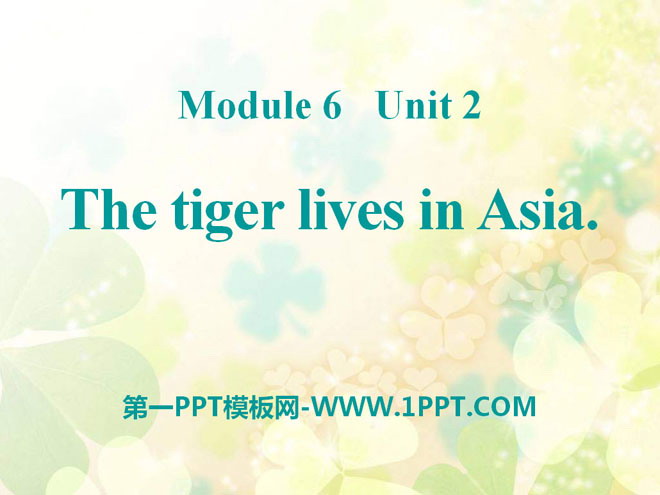 《The tiger lives in Asia》PPT课件4
