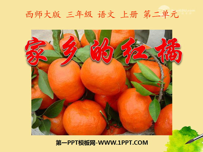 "Red Oranges in Hometown" PPT Courseware 5
