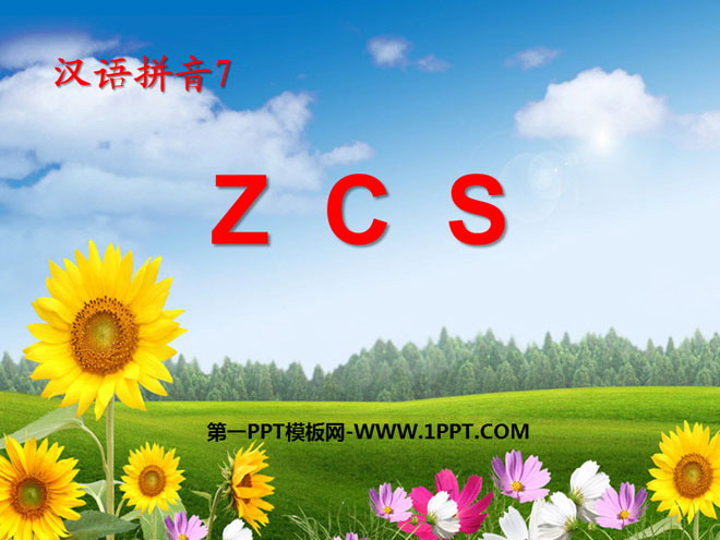 《zcs》PPT課件4