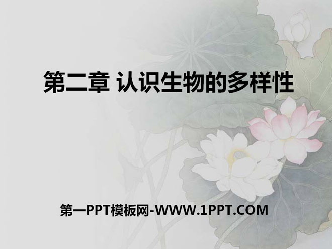 《认识生物的多样性》PPT课件2