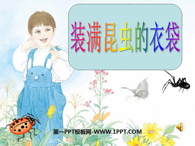 "Pocket Full of Insects" PPT Courseware 3