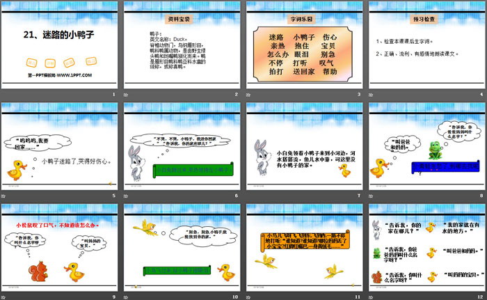 《迷路的小鸭子》PPT
（2）