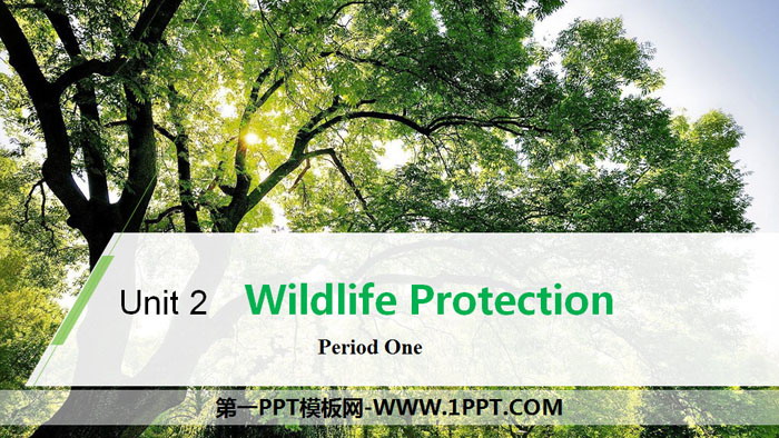 《Wildlife Protection》Period One PPT