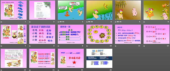 小母鸡种稻子ppt教学课件下载（2）