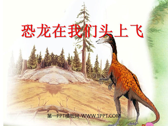 《恐龙在我们头上飞》PPT课件2
