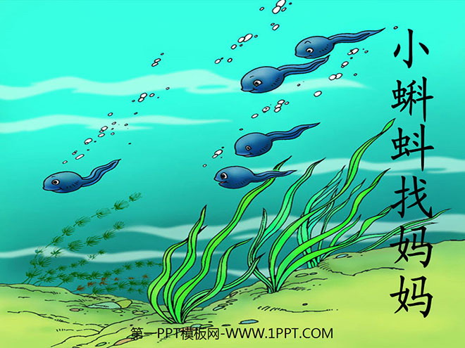 "Tadpole Looking for Mom" ​​PPT Courseware 2