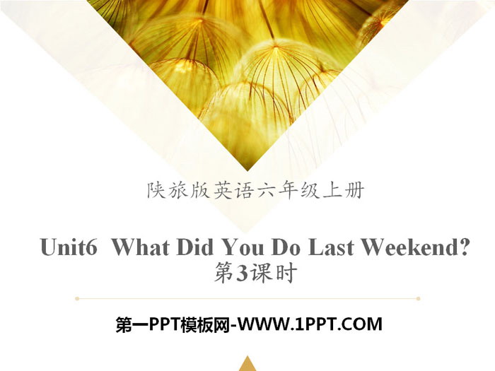 "What Did You Do Last Weekend?" PPT courseware download