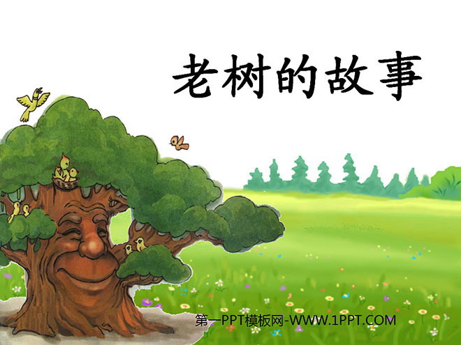 "The Story of the Old Tree" PPT Courseware 3
