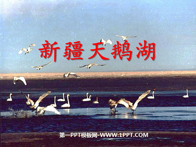 《新疆天鵝湖》PPT課程4