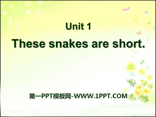 "These snakes are short" PPT courseware 2
