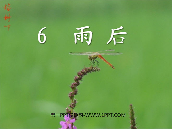 《雨后》PPT课件4