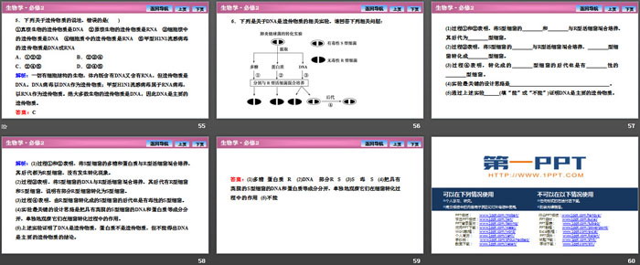 《DNA是主要的遗传物质》基因的本质PPT课件（8）